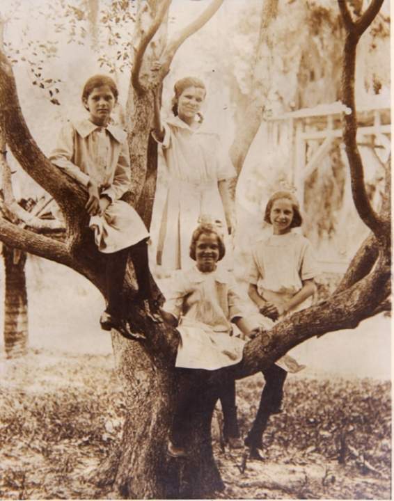 Children in Tree